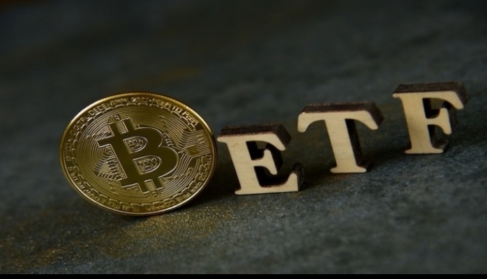 Bitcoin ETF'lere Yatırım Yapan Şirket Sayısı İkinci Çeyrekte Yüzde 27 Arttı